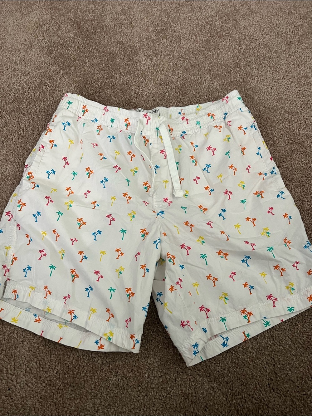 Free Planet White Hybrid Shorts with Rainbow Palm Print